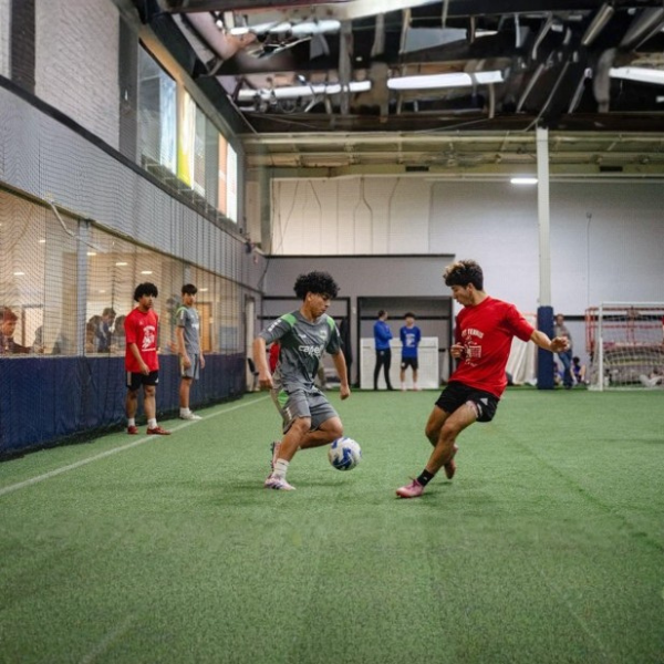 Untitled design (44)